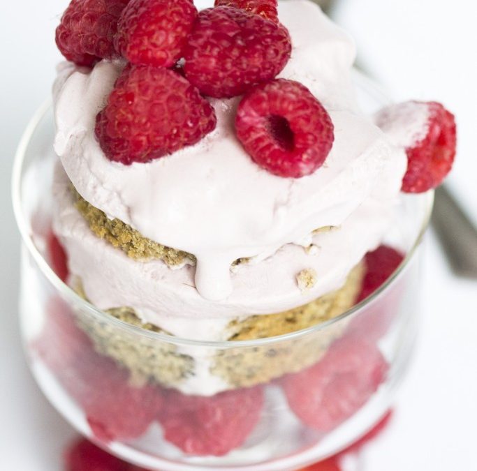 Banana Layer Cake with Screamin Brothers Raspberry Frozen Treat