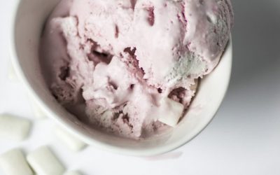 Berry Mint Chocolate Ice Cream