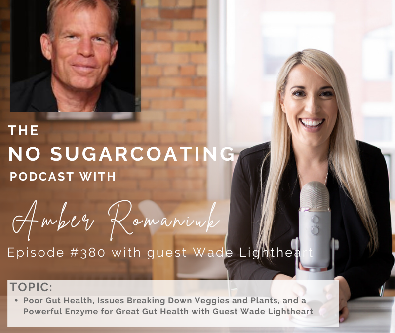 Episode #380 Poor Gut Health, Issues Breaking Down Veggies and Plants and a Powerful Enzyme for Great Gut Health with Guest Wade Lightheart