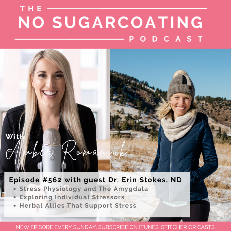 5 Stress Physiology and The Amygdala Exploring Individual Stressors Herbal Allies That Support Stress with Dr. Erin Stokes, ND